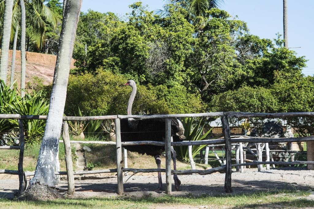 Estalagem Fazenda Fiore